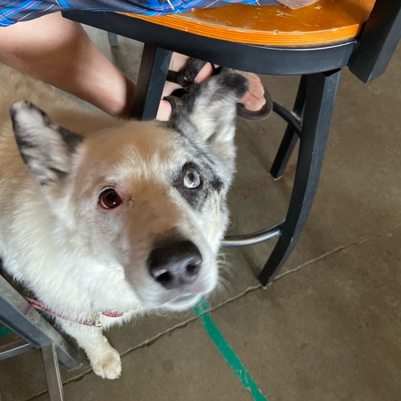 Meet your Posher, Jennifer - Picture 14 of 16